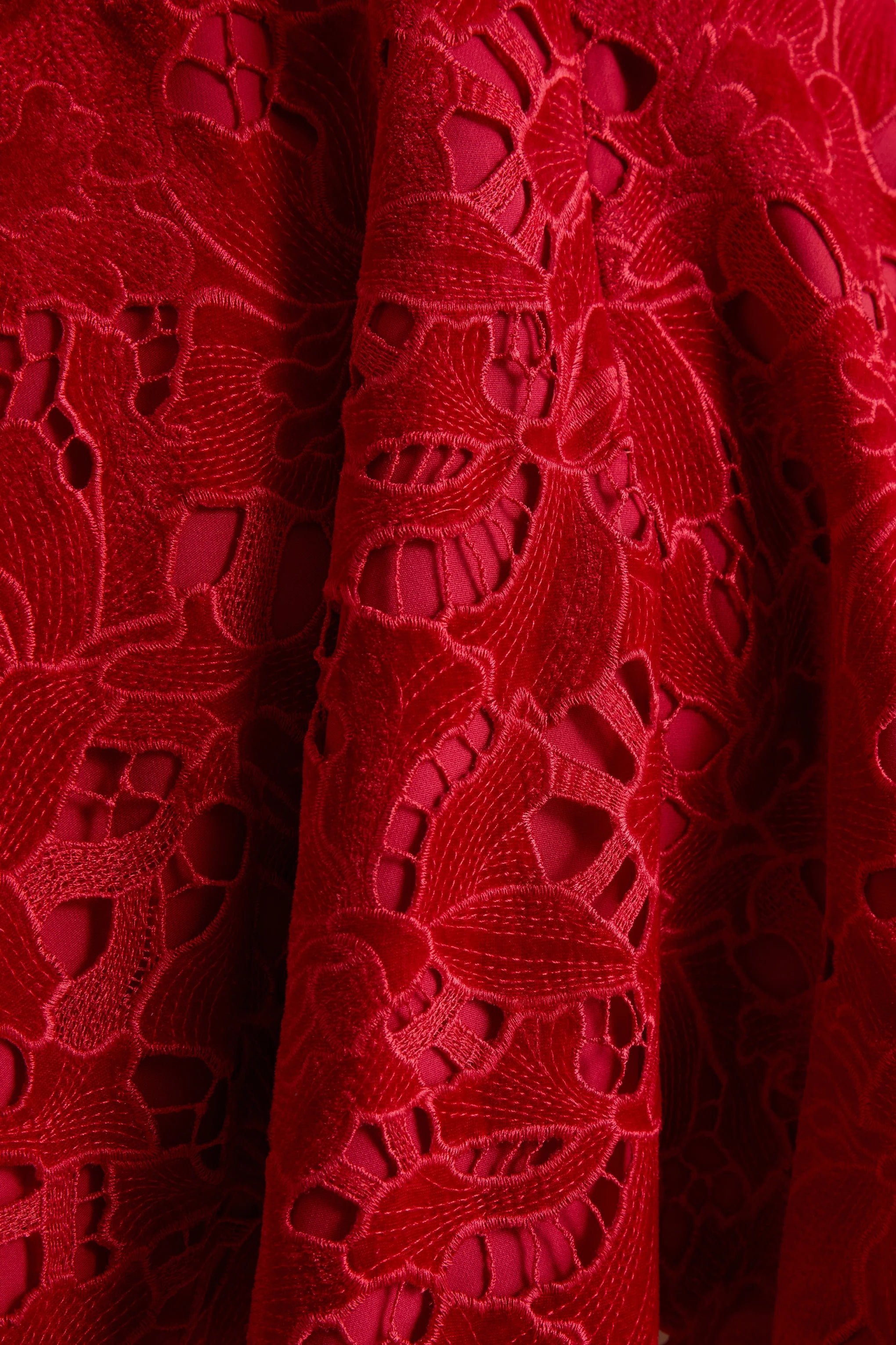 Roam | Red Lace High-Neck Mini Dress