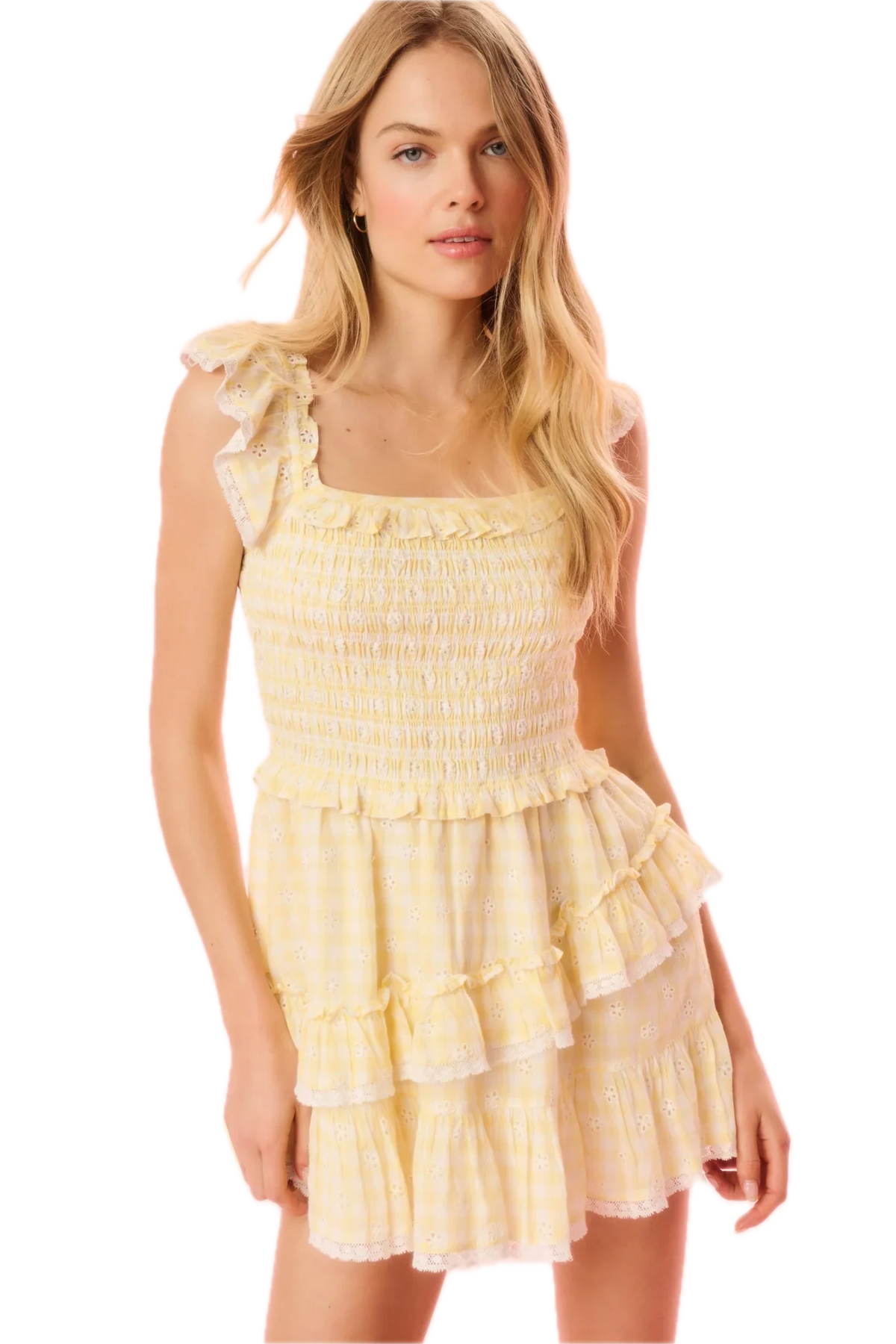 Aline Gingham Eyelet Mini Dress