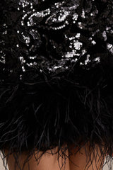Stardust | Black Sequined Velvet Crew-Neck Mini Dress With Feather Trim